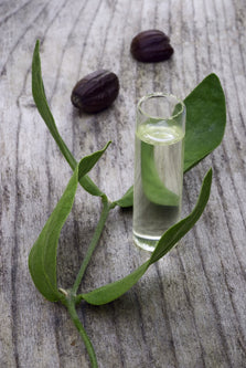 Your spa and massage clients won’t forget the name or the benefits of Jojoba