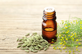 fennel essential oil