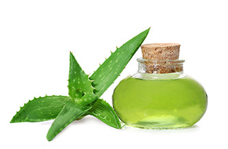 Aloe Vera essential oil