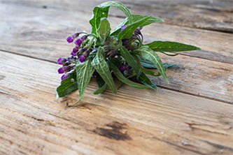 An ingredient that stands test of time helps clients heal
