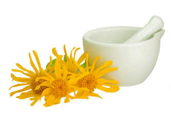 The healing benefits of Arnica for spa and massage practice treatments