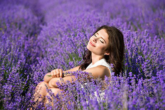 Lavender Field 