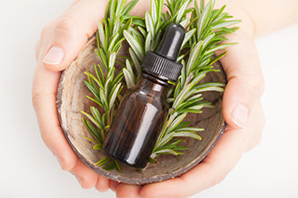 rosemary in hands