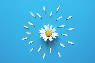 Chamomile with its apple scent helps soothe and relax
