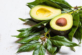 Avocado Oil
