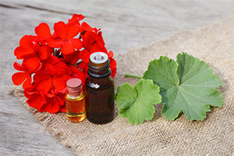 Getting Down to Essentials: Geranium Oil