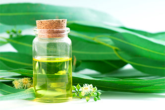 Eucalyptus Essential Oil