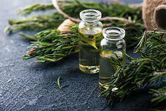 Getting Down to Essentials: Rosemary Essential Oil