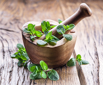 Sore muscles the problem? Peppermint provides relief year round.