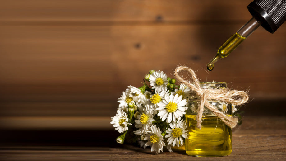 Getting Down to Essentials: Chamomile