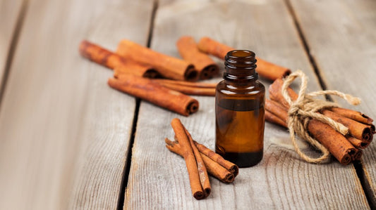 Getting Down to Essentials: Cinnamon Essential Oil