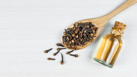 Getting Down to Essentials: Clove Essential Oil