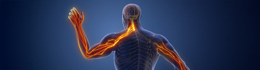 Manual Therapy to Eliminate Nerve Compression Patterns of the Upper Body with- James Waslaski