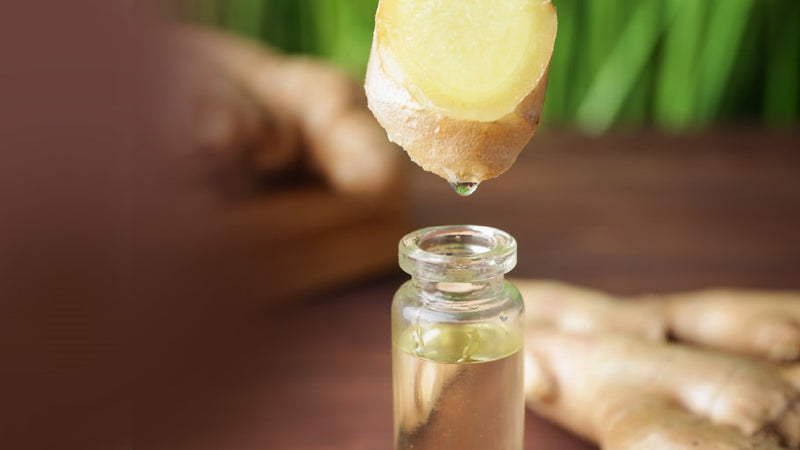 Once a luxury, ginger essential oil continues to be in high demand.