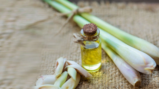 Getting Down to Essentials: Lemongrass Essential Oil