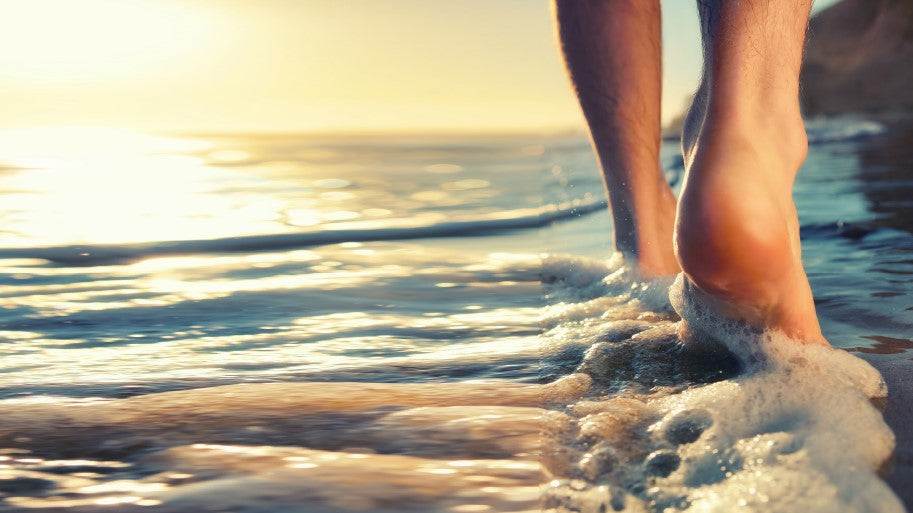 How One of Earth’s Oldest Life Forms Can Help Your Feet