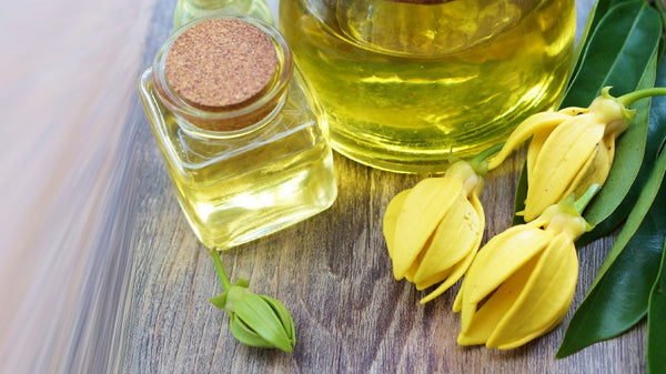 Getting Down to Essentials: Ylang Ylang Oil