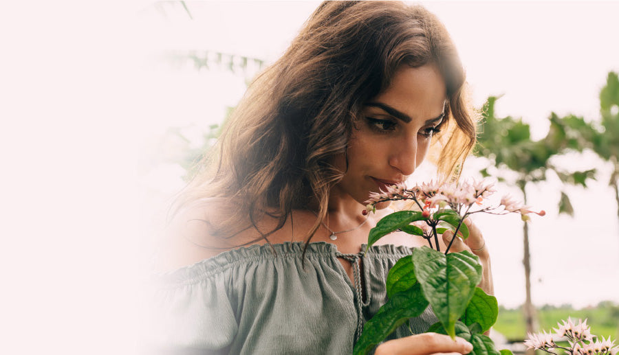 Getting Down to Essentials: Balsam of Peru Oil