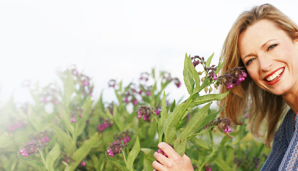 Treat client joint and muscle pain with Comfrey