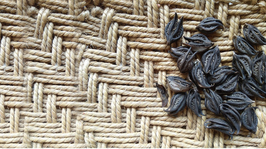 Soothing Client Pain Relief May Require a Devil’s Claw