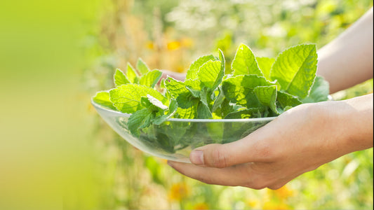 When Treating Clients for Aches and Pains, Keep it Cool!