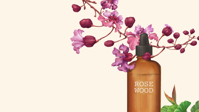 Getting down to essentials: Rosewood Essential Oil