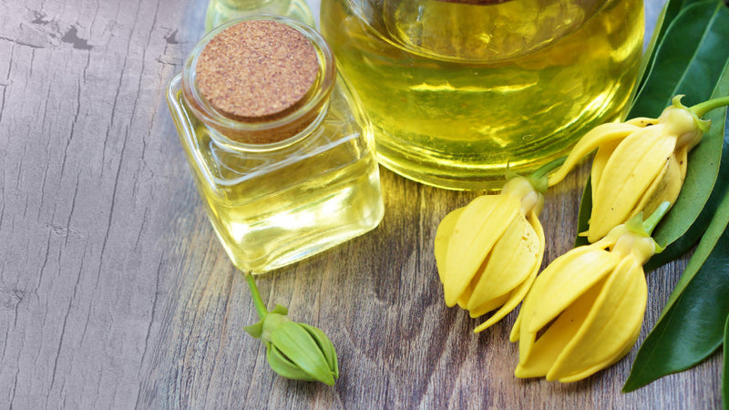 Getting Down to Essentials – Ylang Ylang