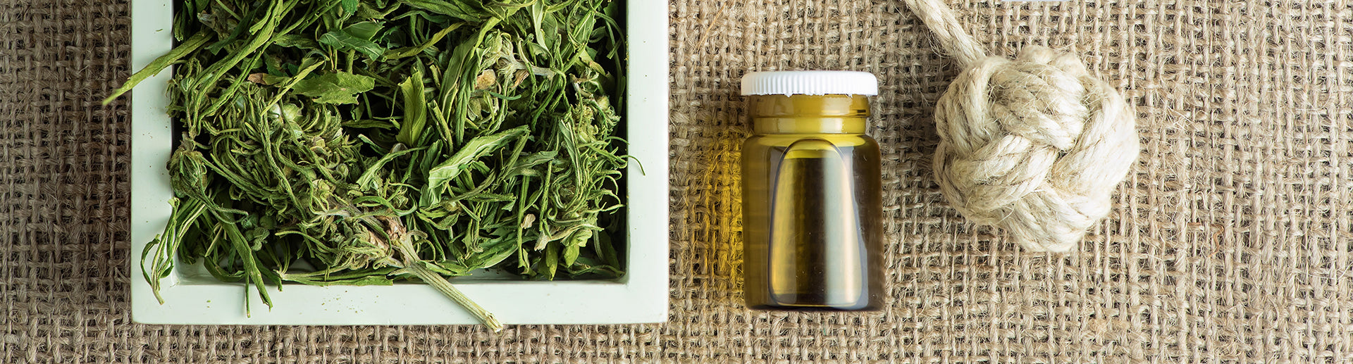 industrial hemp