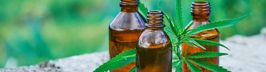 cbd oil blog