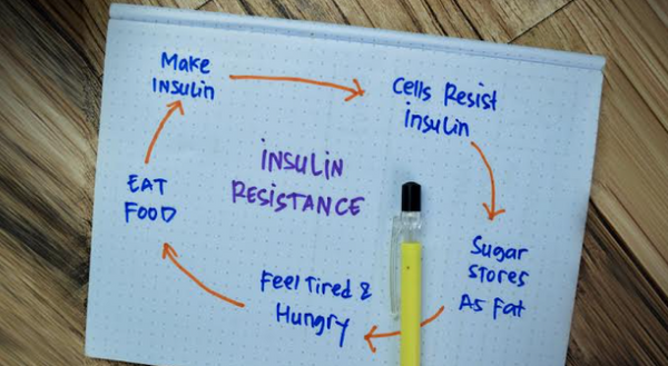 Diabetes Type 2 (T2D) and Insulin Resistance: Essentials for Reversal with Dr Daniel Castro