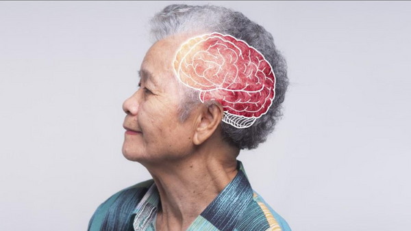 The Fluid Connection — The Brain with Anne Bramham & Dale Alexander, PhD, LMT