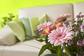 Here Comes The Sun... Get Your Clients In The Mood