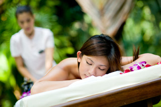 Adventures in Massage Therapy Available: Apply Now!