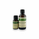 Meditation Essential Oil